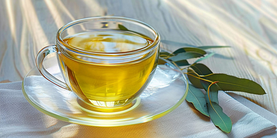 польза чая из оливковых листьев